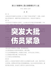 突发大批伤员紧急预案，应对策略与措施