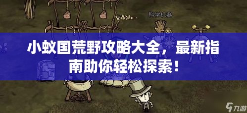 小蚁国荒野攻略大全，最新指南助你轻松探索！