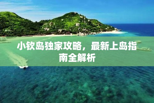 小钦岛独家攻略，最新上岛指南全解析