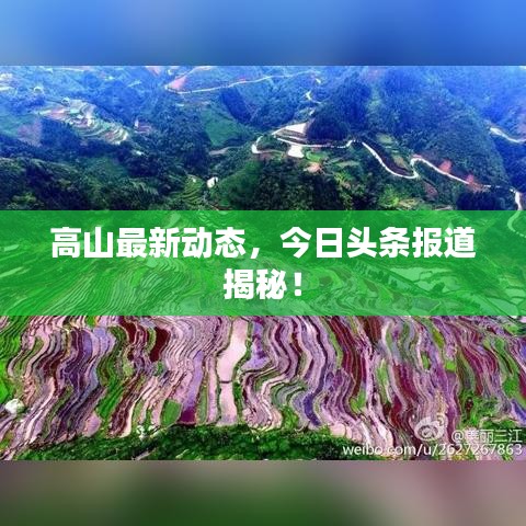 高山最新动态，今日头条报道揭秘！