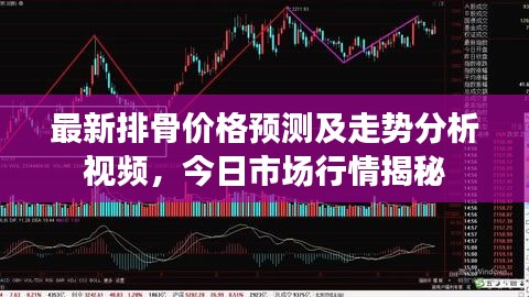 最新排骨价格预测及走势分析视频，今日市场行情揭秘