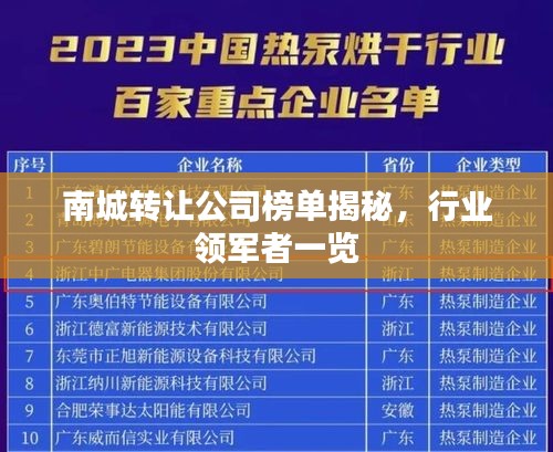 南城转让公司榜单揭秘，行业领军者一览