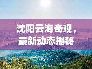 沈阳云海奇观，最新动态揭秘
