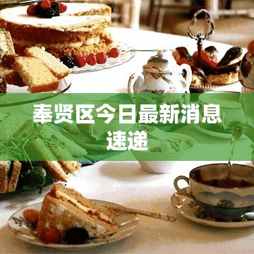 奉贤区今日最新消息速递