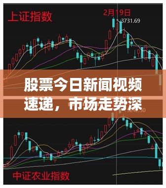 股票今日新闻视频速递，市场走势深度分析与热点透视