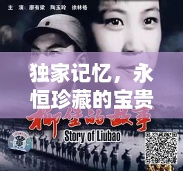 独家记忆，永恒珍藏的宝贵回忆