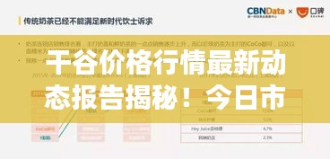 干谷价格行情最新动态报告揭秘！今日市场走势分析。