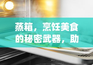 蒸箱，烹饪美食的秘密武器，助力厨艺飞升！
