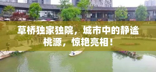 草桥独家独院，城市中的静谧桃源，惊艳亮相！