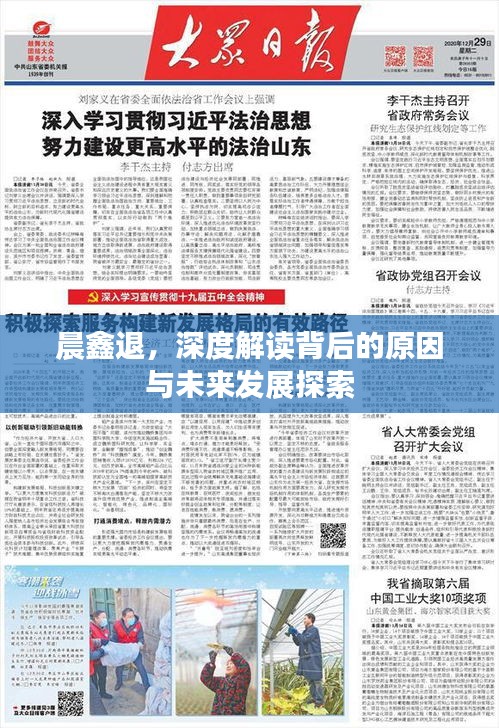 晨鑫退，深度解读背后的原因与未来发展探索