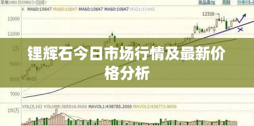 锂辉石今日市场行情及最新价格分析