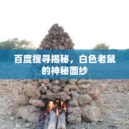 百度搜寻揭秘，白色老鼠的神秘面纱