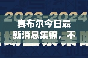 赛布尔今日最新消息集锦，不容错过！