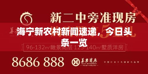 海宁新农村新闻速递，今日头条一览
