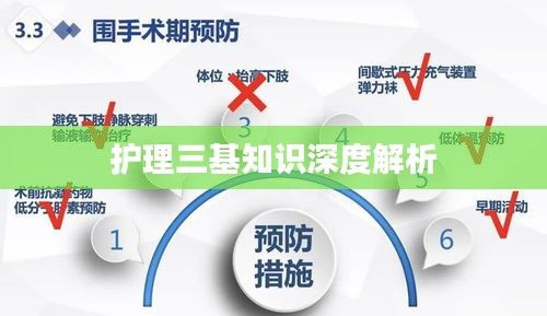 护理三基知识深度解析