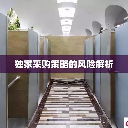 独家采购策略的风险解析