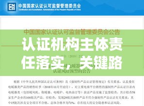 认证机构主体责任落实，关键路径及策略深度探讨