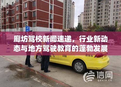 廊坊驾校新闻速递，行业新动态与地方驾驶教育的蓬勃发展