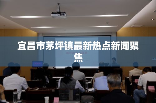 宜昌市茅坪镇最新热点新闻聚焦