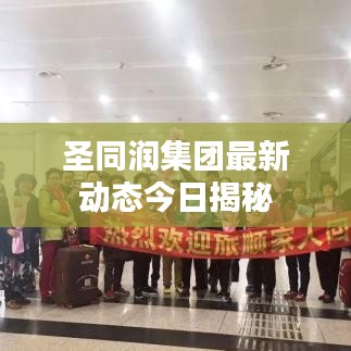 圣同润集团最新动态今日揭秘