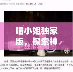 喵小姐独家版，探索神秘世界的独家体验，不容错过！