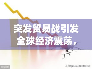 突发贸易战引发全球经济震荡，挑战与应对策略