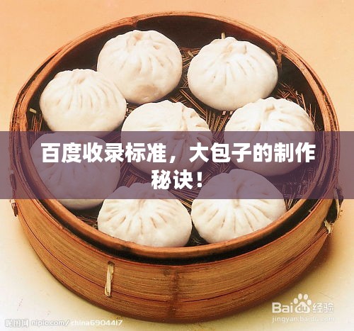 百度收录标准，大包子的制作秘诀！