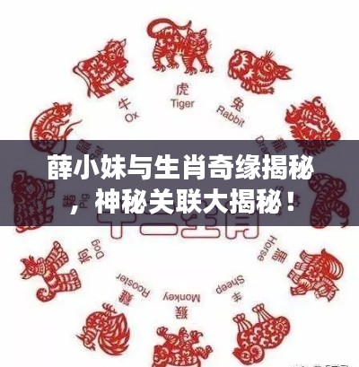 手不释卷