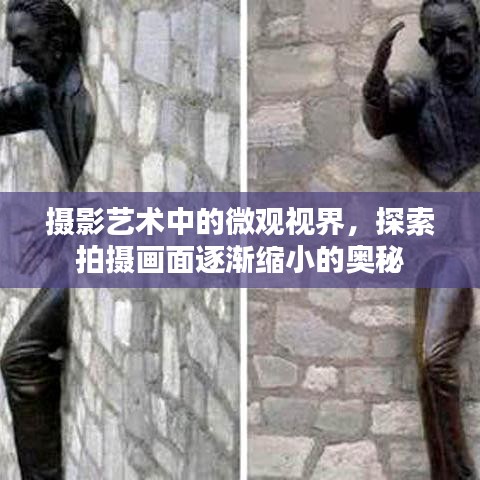 摄影艺术中的微观视界，探索拍摄画面逐渐缩小的奥秘