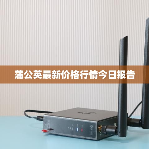 蒲公英最新价格行情今日报告
