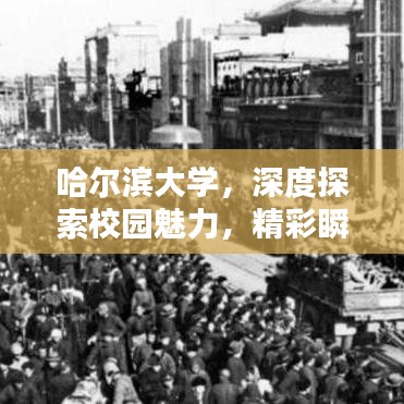 哈尔滨大学，深度探索校园魅力，精彩瞬间一网打尽！
