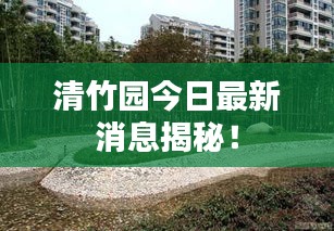鸟云之阵