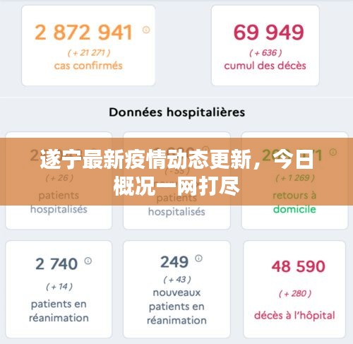 遂宁最新疫情动态更新，今日概况一网打尽