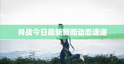 肖战今日最新新闻动态速递