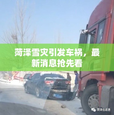 绝代佳人