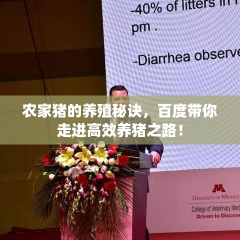 雅量高致