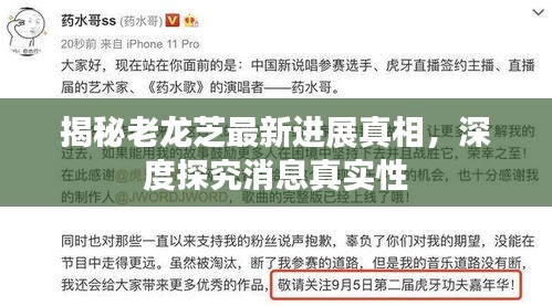 揭秘老龙芝最新进展真相，深度探究消息真实性