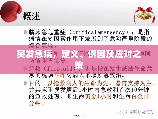 张皇铺饰