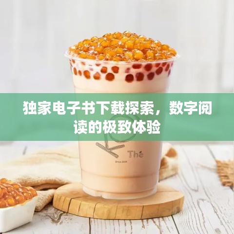 独家电子书下载探索，数字阅读的极致体验