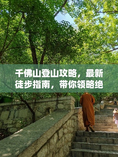 飞龙在天
