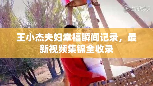 量入为出
