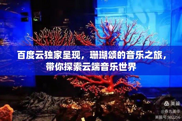 炊粱跨卫