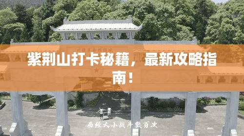 怀真抱素