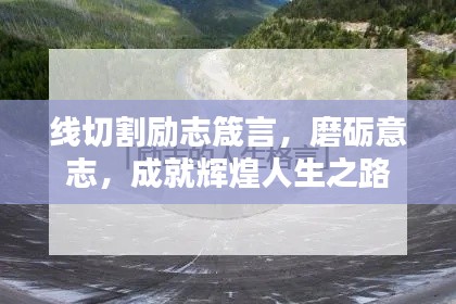 客户服务 第20页