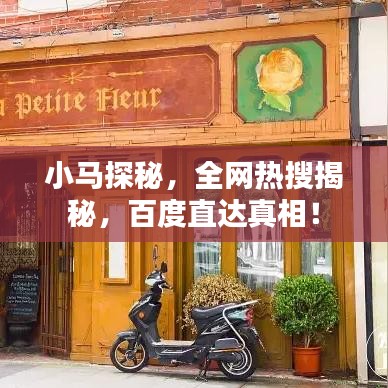 小马探秘，全网热搜揭秘，百度直达真相！