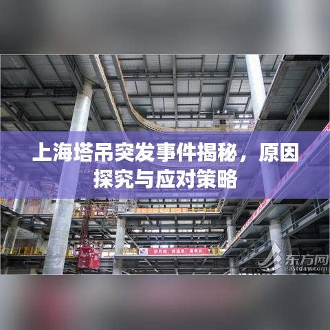 如鸟兽散