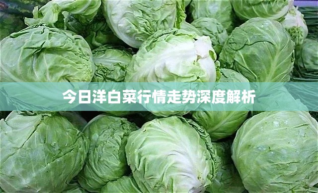 不知所云