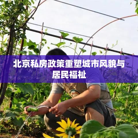 北京私房政策重塑城市风貌与居民福祉