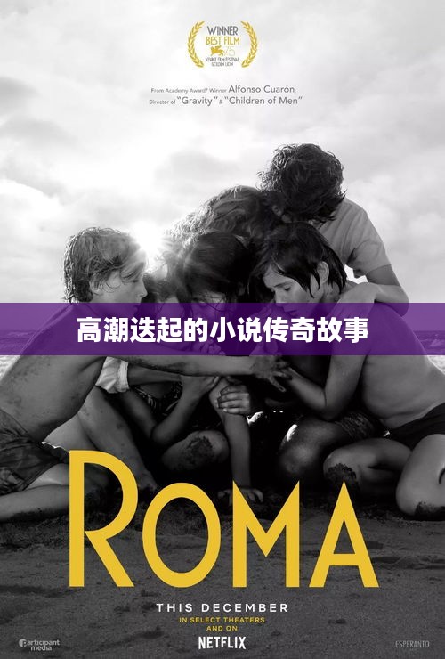 高潮迭起的小说传奇故事