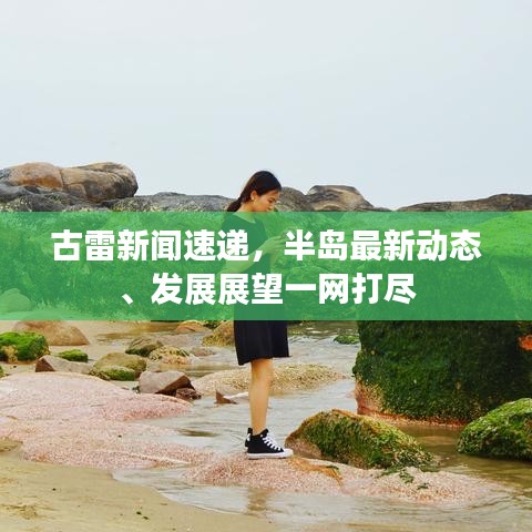 古雷新闻速递，半岛最新动态、发展展望一网打尽